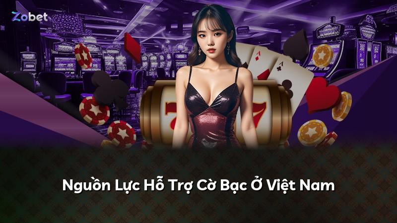 Nguồn Lực Hỗ Trợ Cờ Bạc Ở Việt Nam