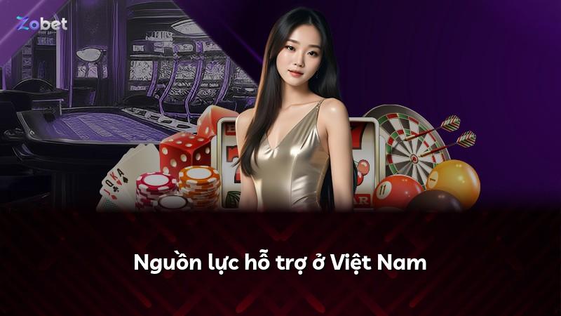 Nguồn lực hỗ trợ ở Việt Nam