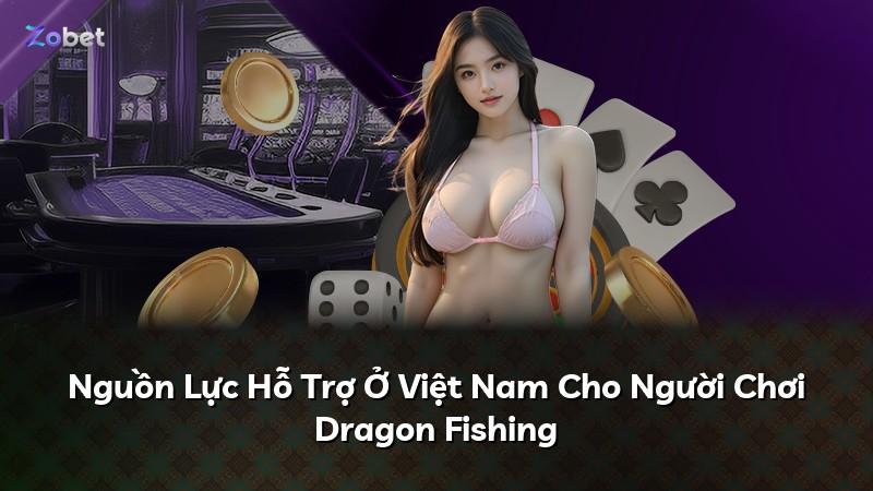 Nguồn Lực Hỗ Trợ Ở Việt Nam Cho Người Chơi Dragon Fishing
