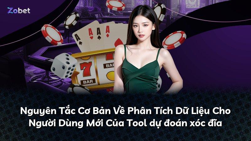 Nguyên Tắc Cơ Bản Về Phân Tích Dữ Liệu Cho Người Dùng Mới Của Tool dự đoán xóc đĩa