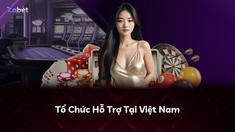 Tổ Chức Hỗ Trợ Tại Việt Nam